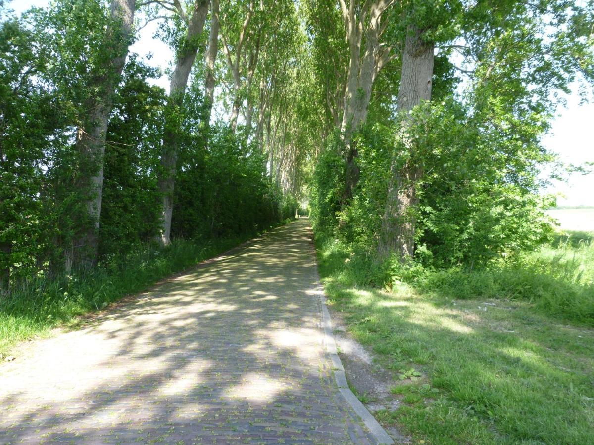 Vakantiewoning Domburg Do31 Екстер'єр фото